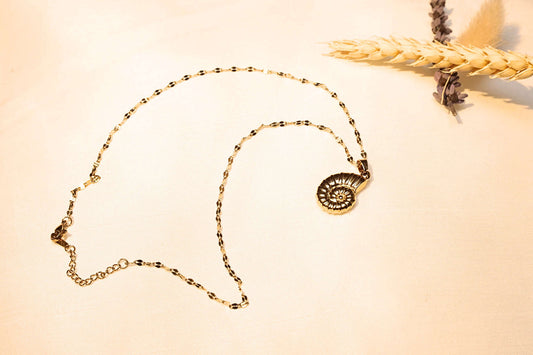 Vintage-inspired seashell necklace – The perfect choice for those seeking timeless and minimalist style.