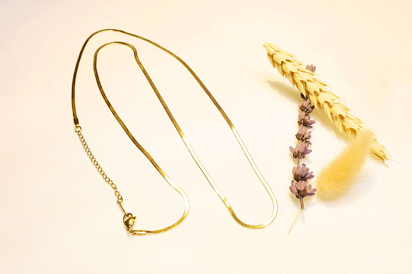 Gold-plated snake chain necklace – A fluid and elegant design that adds a modern touch.