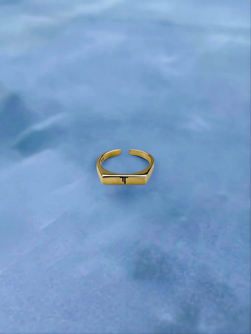 Antiocco Column Signet Ring - Gold Plated