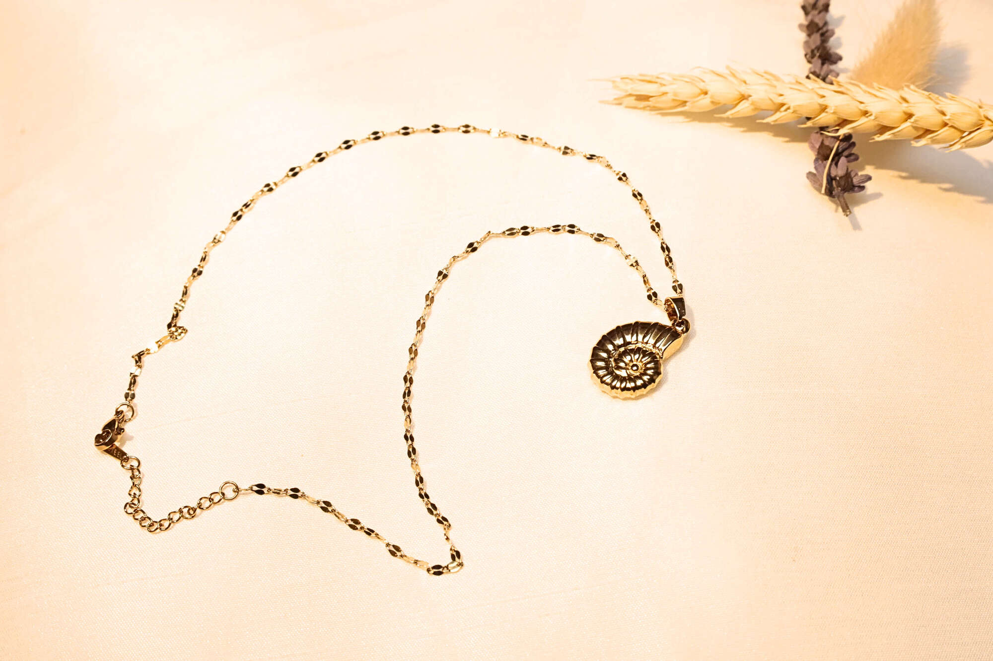 Vintage-inspired seashell necklace – The perfect choice for those seeking timeless and minimalist style.